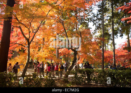 Herbstfarben am Shinnyo-Do-Tempel, Kyoto, Japan. Stockfoto