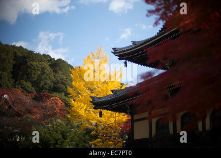 Japanische Pagode in herbstlichen Farben, Kyoto, Japan. Stockfoto