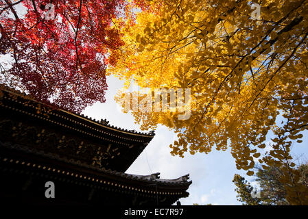 Japanische Pagode in herbstlichen Farben, Kyoto, Japan. Stockfoto