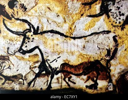 Bullen und Rinder. Detail einer Höhlenmalerei. Franco-Cantabrian, oberen Altsteinzeit, 15,000-10.000 v. Chr.. Linke Wand der Rotunde in der Grotte von Lascaux (Dordogne (, Frankreich. Die großen Bullen nach links weist, wird im Schwarzen umrissen, mit Hörnern in der doppelten Perspektive. Es war im Vergleich zu früheren Gemälde von zwei rötlich-braunen wilde Rinder, Brei in der Größe kleiner gezeichnet. Stockfoto