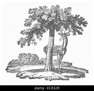 Diese Illustration aus dem Jahr 1795 zeigt Robin Hood, den legendären Gesetzlosen aus der englischen Folklore, das klassische Bild seiner Zeit. Das Kunstwerk fängt das Wesen seines Charakters und die Ära, die er repräsentiert, ein. Stockfoto