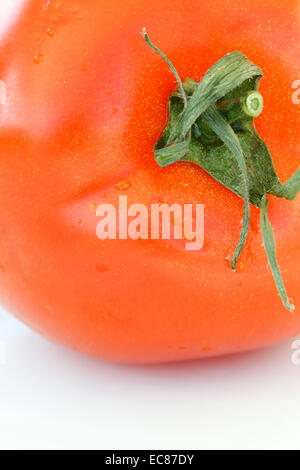 rote Tomate Nahaufnahme beschnitten, erschossen studio Stockfoto