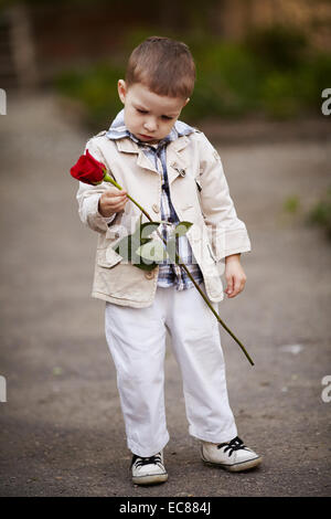 hübscher Junge halten rote rose in der hand Stockfoto