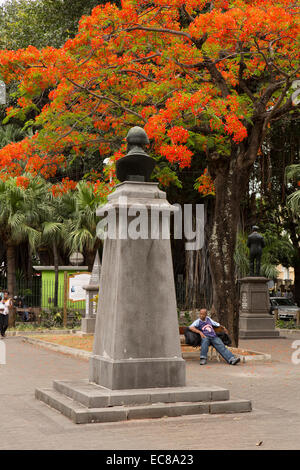 Mauritius, Port Louis, Firmengarten, Flamme Baum über Brown-Sequard Büste, Professor für Physiologie Stockfoto