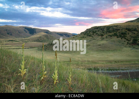 Backcountry Landschaft entlang der Smith River, Montana, USA Stockfoto