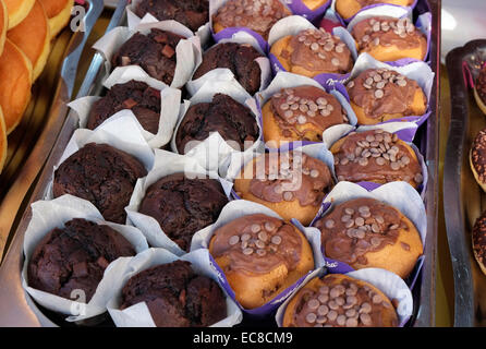 Schokoladen-muffins Stockfoto