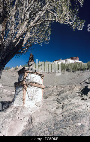 MATHO Kloster Ladakh Tibet buddhistische Heiligtum Baum blauen Himmel Asche Baum Indus River Tal Stockfoto