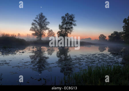 herbstliche Landschaft, Bäume im Nebel bei Sonnenaufgang. Stockfoto