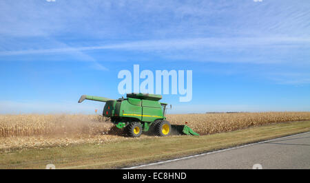 Kombinieren Sie beim Ernten von Weizen Stockfoto