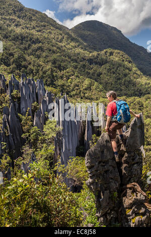 Wanderer im Pinnacles, Karstlandschaft, Gunung Mulu Nationalpark in Sarawak, Malaysia Stockfoto