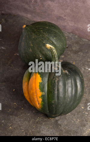 Kürbisse und Zucchini.  Muscade de Provence Stockfoto