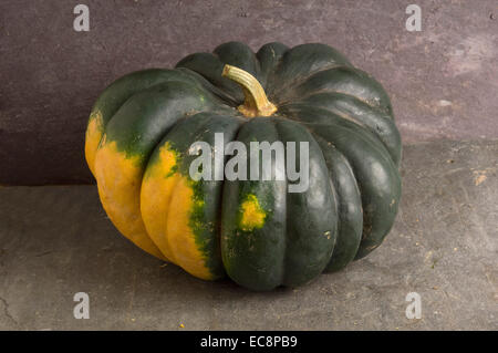 Kürbisse und Zucchini.  Muscade de Provence Stockfoto