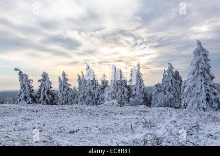 Winter auf der "Kahler Asten", dem höchsten Berg in Nord Rhein Westfalen, Deutschland, mit 841 Metern Höhe. Stockfoto