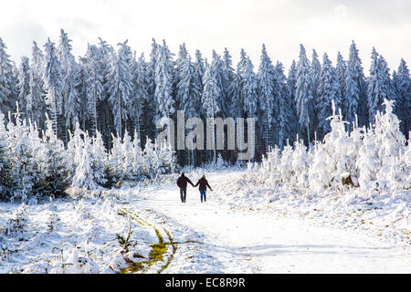 Winter auf der "Kahler Asten", dem höchsten Berg in Nord Rhein Westfalen, Deutschland, mit 841 Metern Höhe. Stockfoto