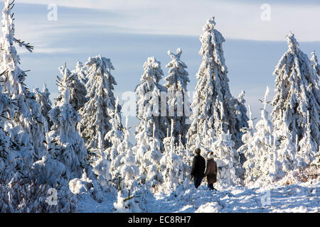 Winter auf der "Kahler Asten", dem höchsten Berg in Nord Rhein Westfalen, Deutschland, mit 841 Metern Höhe. Stockfoto