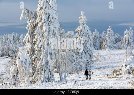 Winter auf der "Kahler Asten", dem höchsten Berg in Nord Rhein Westfalen, Deutschland, mit 841 Metern Höhe. Stockfoto