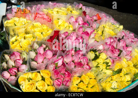 Straßenhändler verkaufen Rosen in Da Lat, Vietnam. Stockfoto