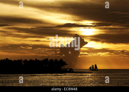 Golden Sunset in Key West, Florida, USA - silhouetted Segelboot gegen goldenen Himmel mit Wolkenformation Stockfoto