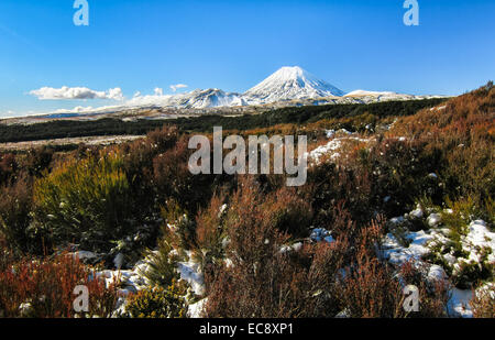 Ngauruhoe (Mt. Doom) im Tongariro-Nationalpark, New Zealand Stockfoto