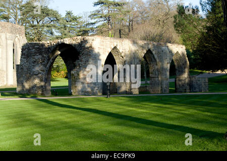 Zisterziensische Kapitelsaal, Margam Manor Country Park, Port Talbot, Wales. Stockfoto