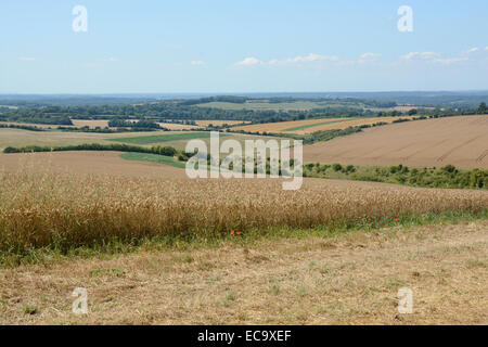 Felder von Feldfrüchten auf Chilton Down mit Winchester Stadt im Hintergrund. Hampshire. England Stockfoto