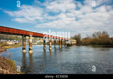 Alte Eisenbahnbrücke über den Fluss Blackwater Cappoquin, Grafschaft Waterford, Irland Stockfoto