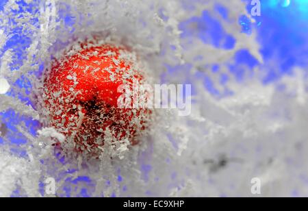 Eine rote Kugel angebracht zu einem verschneiten beleuchtete Weihnachtsbaum Stockfoto