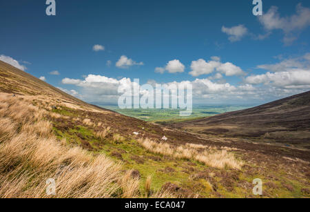 Blick nach Norden über die Ebenen der Süden irischen Midlands, von den Galty Mountains in der Nähe von Lough Muskry, County Tipperary Stockfoto