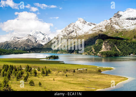 Sommerlandschaft, Silsersee, Upper Engadin, Schweiz Stockfoto