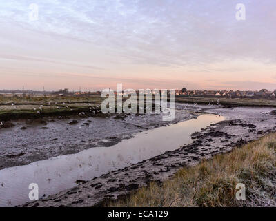 Landschaft-Szene, die den Frost bedeckt Flussufer mit Möwen im Flug bei Ebbe mit einer Stadt im Hintergrund Stockfoto