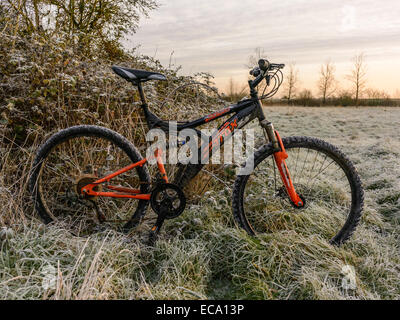 Landschaft-Szene, die schwarz und orange Mountain Bike stehend unter Ginster Brambles in Morgen Frost bedeckt. Stockfoto