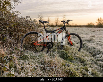 Landschaft-Szene, die schwarz und orange Mountain Bike stehend unter Ginster Brambles in Morgen Frost bedeckt. Stockfoto