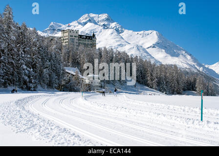 Langlaufloipe Unterhalb des Waldhotel Sils-Maria, Symbole, Schweiz | Langlaufloipe unterhalb Waldhotel Sils-Mar Stockfoto