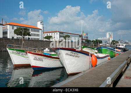 Hafen, Ponta Delgada, Sao Miguel, Azoren, Portugal Stockfoto