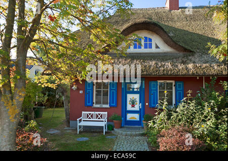 Reetgedeckten Haus, Ahrenshoop, Darß, Fischland-Darß-Zingst, Mecklenburg-Western Pomerania, Deutschland Stockfoto