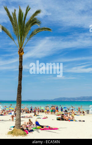 Voller Strand, Playa de Palma, Bucht von Palma, Mallorca, Balearen, Spanien Stockfoto