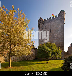 Burg Bentheim, Innenhof mit Pulverturm, Bad Bentheim, Niedersachsen, Deutschland Stockfoto