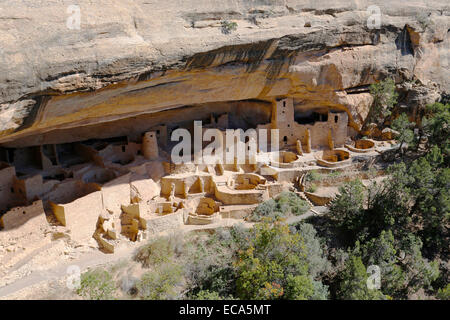 Cliff Palace, Klippenwohnungen der Anasazi, Mesa Verde Nationalpark, Colorado, Vereinigte Staaten von Amerika Stockfoto