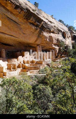 Cliff Palace, Klippenwohnungen der Anasazi, Mesa Verde Nationalpark, Colorado, Vereinigte Staaten von Amerika Stockfoto