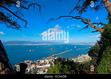 Gibraltar-Stadt mit der Bucht von Algeciras, Spanien, am Rücken, Gibraltar, Britische überseegegend, Iberische Halbinsel, Europa Stockfoto