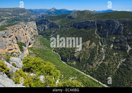 Canyon der Fluss Verdon, regionalen Naturpark Verdon, Gorges du Verdon, Provence, Provence-Alpes-Côte-d ' Azur, Frankreich Stockfoto