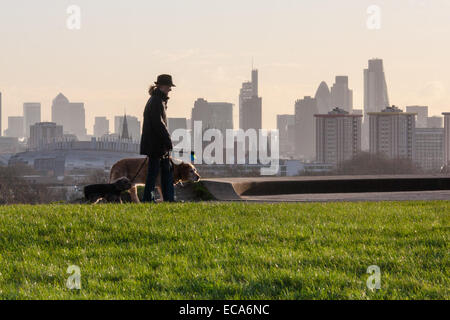 London, UK. 11. Dezember 2014. UK-Wetter: Eine Frau geht ihren Hunden auf Primrose Hill, mit dramatischen Londoner Skyline im Hintergrund. Bildnachweis: Paul Davey/Alamy Live-Nachrichten Stockfoto