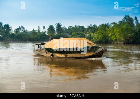 Traditionelle Frachter geladen mit Reis auf dem Mekong, Nam Bo, Can Tho, Mekong-Delta, Vietnam Stockfoto