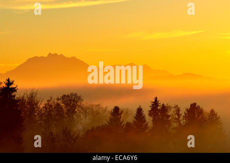 Berg Pilatus über Nebel bei Sonnenuntergang, Kanton Zug, Schweiz Stockfoto