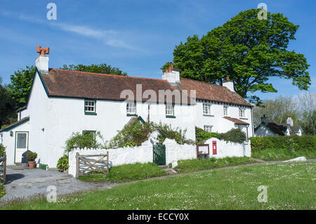 Weiß getünchten Häuschen in Penrice Dorf auf der Gower Halbinsel Wales Stockfoto