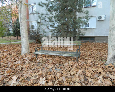 Holzbank mit Herbst Laub bedeckt. Bank vor dem Wohnhaus. Stockfoto