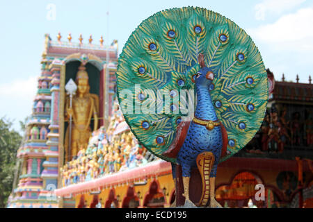 Pfau-Dekoration an der hinduistischen Tempel Munneswaram, Sri Lanka Stockfoto