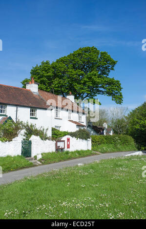 Weiß getünchten Häuschen in Penrice Dorf auf der Gower Halbinsel Wales Stockfoto