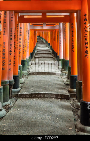 Tausend rote Torii-Tore säumen den Berghang bei Fushimi Inari-taisha, Kyoto, Japan. Es ist der Hauptschrein von Inari, gott von Reis und Füchsen Stockfoto