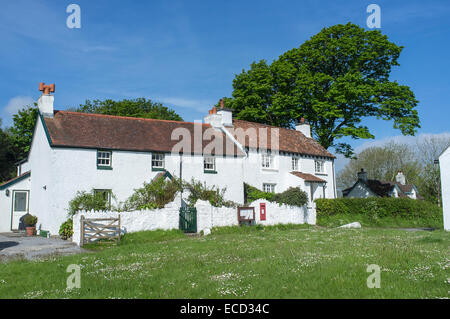 Weiß getünchten Häuschen in Penrice Dorf auf der Gower Halbinsel Wales Stockfoto